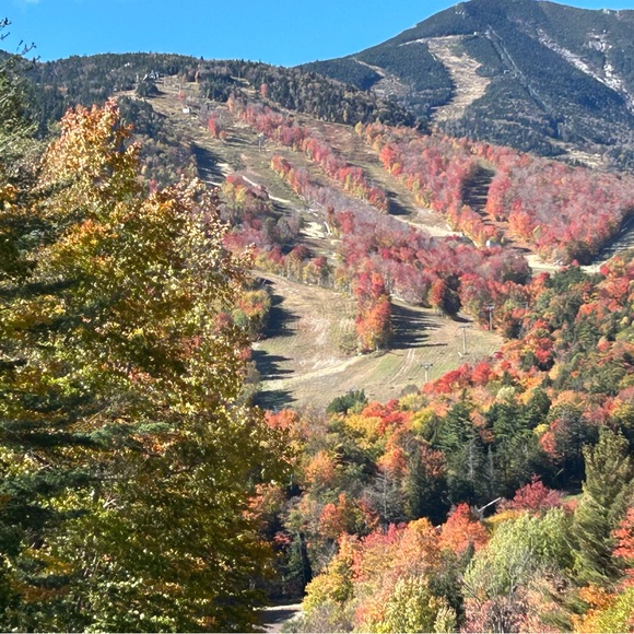 Check out my items. - Picture 1 of 2